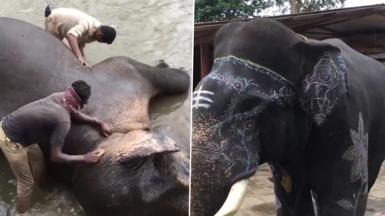 World Elephant Day 2021: Elephants Bathed, Colourfully Painted for Prayer Function in Karnataka's Kodagu (Watch Video)