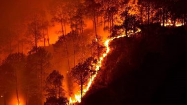 Wildfires Continue to Ravage California, Turkey, Greece And More: Know What Causes A Wildfire and How it Spreads