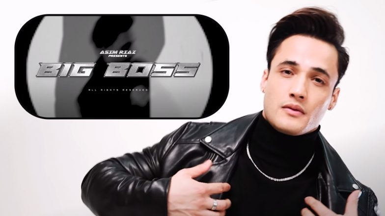 Big Boss Teaser: Asim Riaz’s Stylish Avatar Grabs Our Attention in This Rap Song (Watch Video)