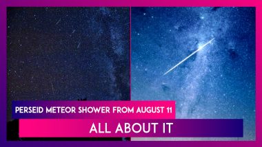 Perseid Meteor Shower From August 11: All You Need To Know