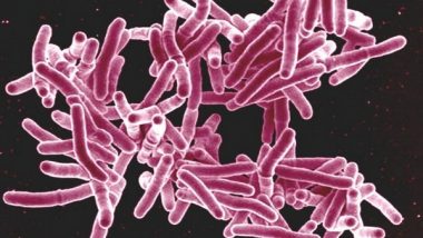 Science News | Study Finds Surprising New Way on How Tuberculosis Suppresses Immunity