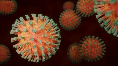 US Sees Surge in Respiratory Syncytial Virus Cases, Delta Variant Infections Among Children and Older Adults