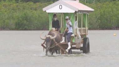 World News | Charm of Ishigaki Island in Japan Attracts Many