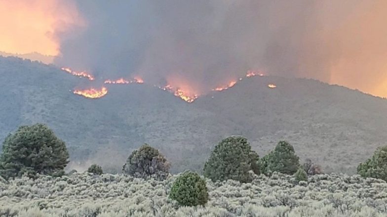Dixie Fire in Northern California Grows to Become Largest Wildfire in 2021