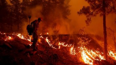 World News | Dixie Fire Grows to 2nd Largest Wildfire in California's History