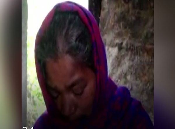 India News | Leopard Kills Five Year Old Girl in Kanlog Area of Shimla: Forest Officials