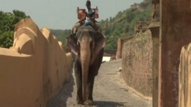India News | Elephant Owners in Jaipur Village Face Financial Issues Amid COVID; Say Mortgaged Jewellery to Feed Tuskers
