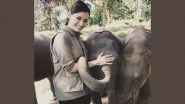 World Elephant Day 2021: Dia Mirza, Shruti Haasan Explain How Important Is to Protect and Secure Asian Elephant For the Sake of Mother Earth