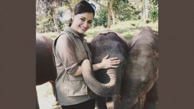 World Elephant Day 2021: Dia Mirza, Shruti Haasan Explain How Important Is to Protect and Secure Asian Elephant For the Sake of Mother Earth