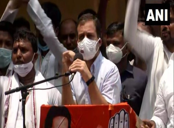 India News | Employment of Youth Stolen: Rahul Gandhi