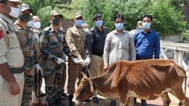 India News | Indian Army Upholds Beacon of Peace, Returns Cattle of POK