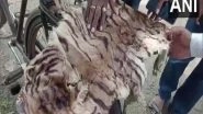 India News | One Held with Tiger Skin, Nails in Odisha