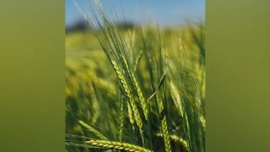 Business News |  FarmERP Expands Its Operations to Cater to the Everchanging AgTech Landscape