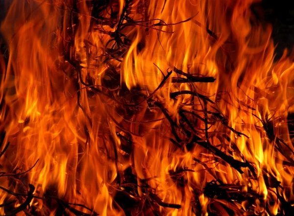 World News | Greece Surveys Damage from Wildfires of 'exceptional Magnitude'