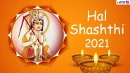Hal Shashthi 2021: From Cleaning Teeth With Datun to Not Consuming Cow&rsquo;s Milk, Things to Know About Randhan Chhath