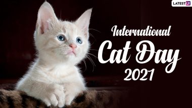 International Cat Day 2021: Date, Significance and Activities Related to the Day Raising Awareness About Cats