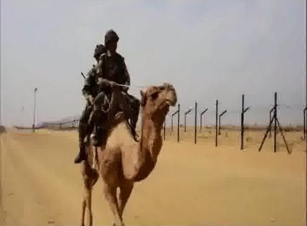 India News | BSF to Start Pilot Project to Prevent Shifting Sand Dunes Along Border