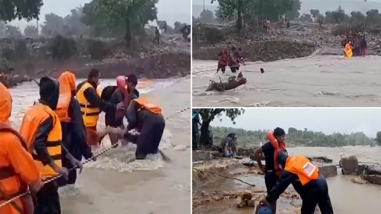 Madhya Pradesh Rains: NDRF Personnel Rescue 40-50 Construction Workers from Flood-Affected Shivpuri (Watch Video)