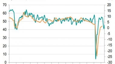 Business News | Service Sector Stuck in Contraction, Business Activity Falls Again: IHS Markit