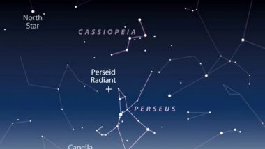 Science News | Perseid Meteor Shower to Be Visible from August 11
