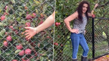 Preity Zinta Recalls Spending Her Childhood Days at Apple Orchards in Shimla (Watch Video)