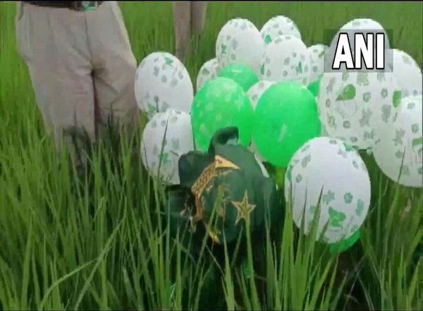 Punjab: Balloons With Pakistani Flag Found in Field of Sandoya Village in Rupnagar (See Pics)