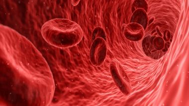 Science News | Efficacy, Safety of Oral Drug for Anemia Treatment Associated with Kidney Disease