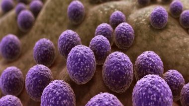 Science News | Study Sheds Light on How Microbiome Bacteria Adapt to Humans Via Transmission