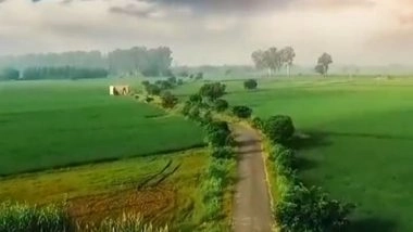 Business News | UPL Wins IP Awards for Innovative Agricultural Solutions