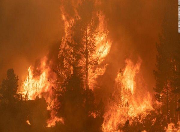 World News | Eighteen Algerian Soldiers Die Fighting Wildfires in Mountains