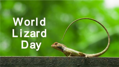 World Lizard Day 2021: From Changing Colours to Detaching the Tail, Few Fun Facts To Know About Lizards