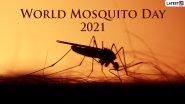 World Mosquito Day 2021: Do Mosquitos Bite YOU More than Others? These 5 Reasons Could Be Responsible!