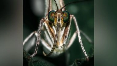 Science News | Researchers Determine How Malaria Parasite Defends Itself from Fever