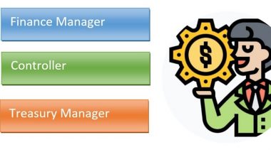 Best Roles of Financial Professionals in Organizations