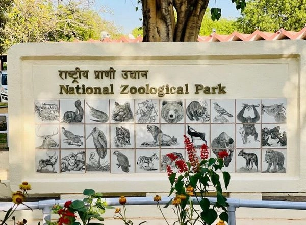 Delhi Zoo, After Being Closed for 105 Days, Reopens in Two Shifts With Online Ticket Booking Facility
