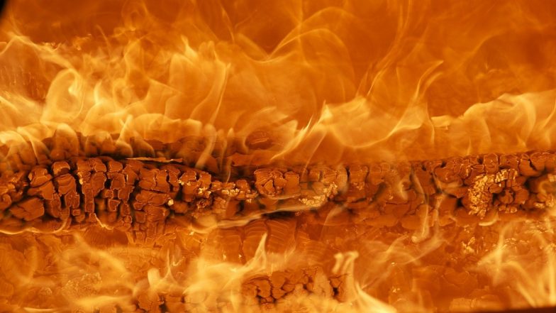 Andhra Shocker: Drunk Man Jumps Into Fire Pit During Muharram Festivities, Dies