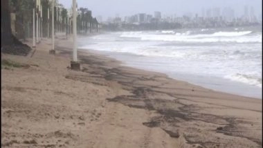 India News | Sand at Mumbai's Juhu Beach Turns Black Following Oil Spill