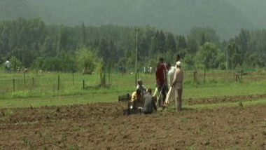 India News | J-K: Post Harvesting Process at Full Swing in Srinagar's Tulip Garden