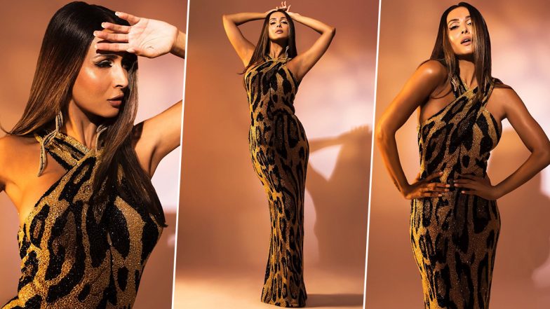 Malaika Arora Looks Glamorous In a Sexy Figure-Hugging Animal Print Gown, View Sizzling Snaps From Latest Photoshoot