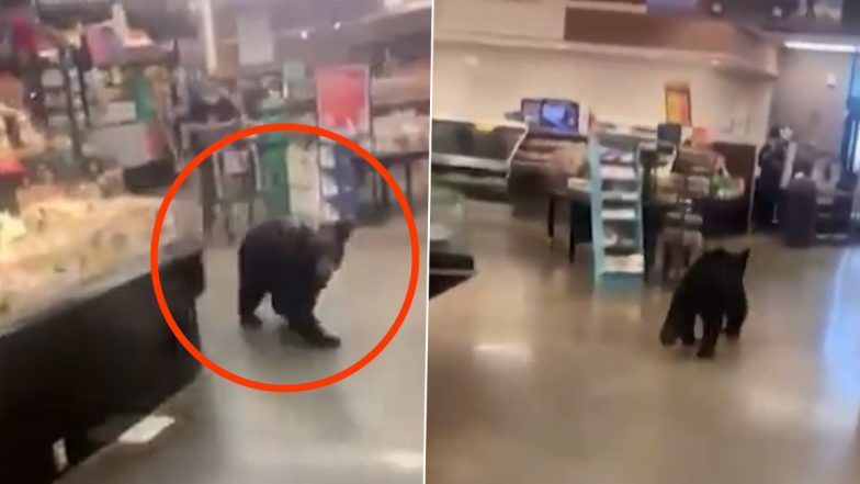 Little Bear Running Through Aisle of Supermarket in Los Angeles (Watch Video)