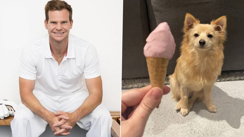 International Dog Day 2021: Steve Smith Shares Adorable Picture Of His Dog To Celebrate the Day