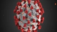 Science News | Research Aims to Use Two CRISPR Enzymes to Diagnose COVID in 20 Minutes