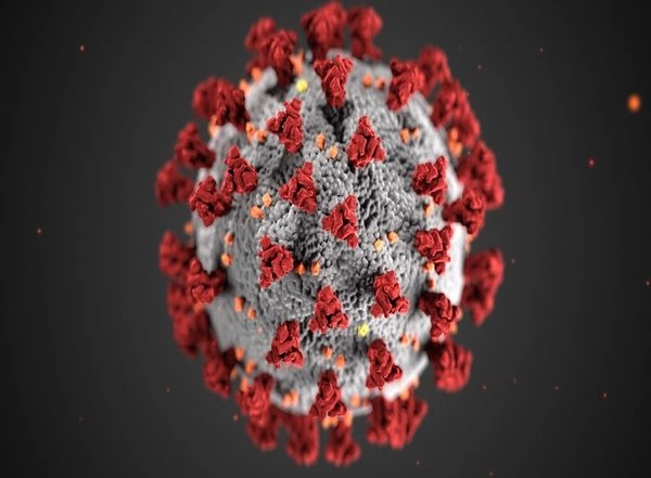 Science News | Research Aims to Use Two CRISPR Enzymes to Diagnose COVID in 20 Minutes