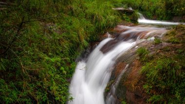 Travel Guide for North East Trip: Visit These Seven Sisters to Witness The Most Mesmerising Places in India