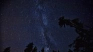Perseid Meteor Shower 2021 from August 11: Know When, Where & How To Watch The Annual Beautiful Celestial Event