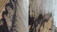 Mumbai: After Oil Spill Reported at Juhu Beach, BMC Starts Cleaning Process (Watch Video)