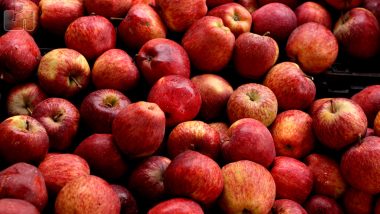 Himachal Pradesh Apple Rates: Adani Group Announces Price For Procuring The Fruit For Its CA Stores; Farmers Express Disappointment