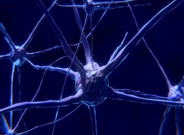 Health News | Researchers Identify Neurons Involved in Overdose Deaths
