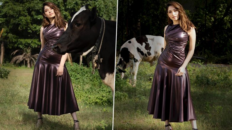 Tamannaah Bhatia Flaunts ‘Bossy’ Look In Glossy Metallic Pleated Midi Dress, Shares Dazzling Pics From Latest Photoshoot