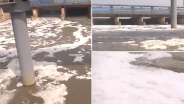 Delhi: Layer of Toxic Foam Continues To Float on Surface of Yamuna River (Watch Video)